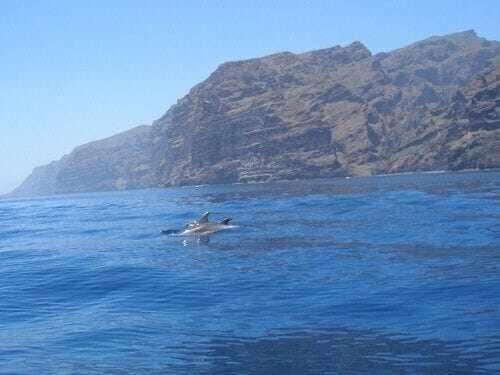 El Paraiso En Los Gigantes Santiago del Teide Exteriör bild