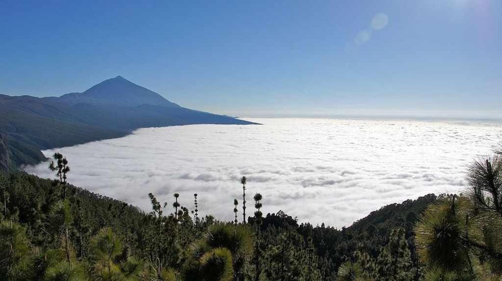 El Paraiso En Los Gigantes Santiago del Teide Exteriör bild