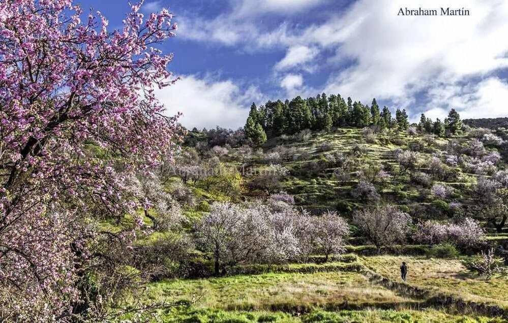 El Paraiso En Los Gigantes Santiago del Teide Exteriör bild