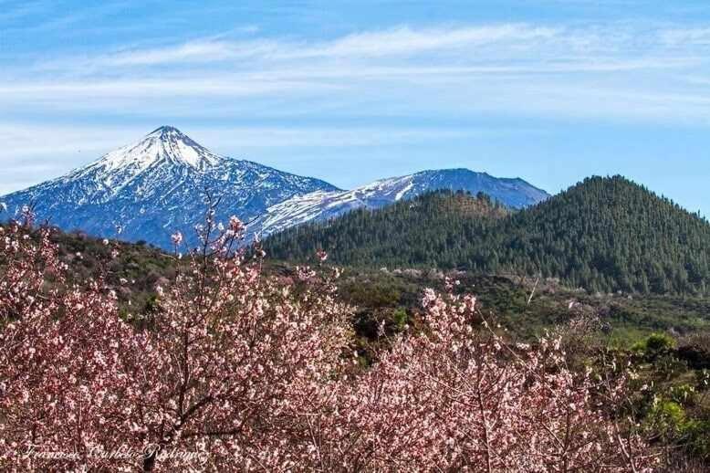 El Paraiso En Los Gigantes Santiago del Teide Exteriör bild